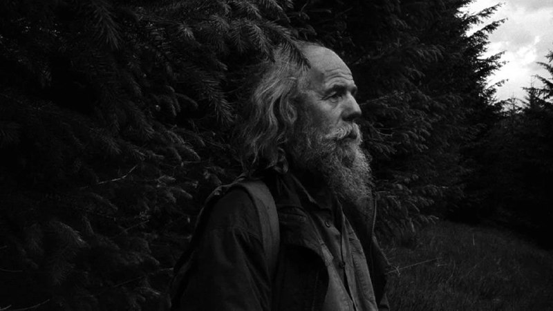 Иллюстрация 6