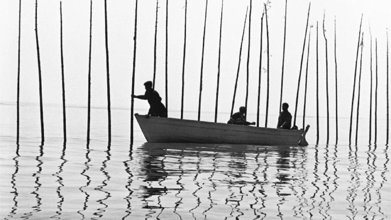 Иллюстрация 9