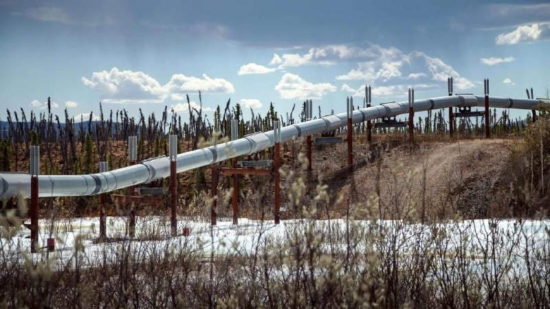 Иллюстрация 10