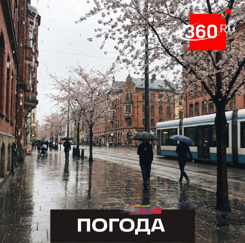 Синоптик рассказал о погоде в Подмосковье на неделю: дожди и похолодание