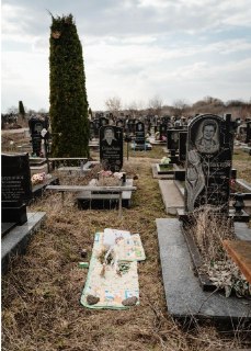 Иллюстрация 3