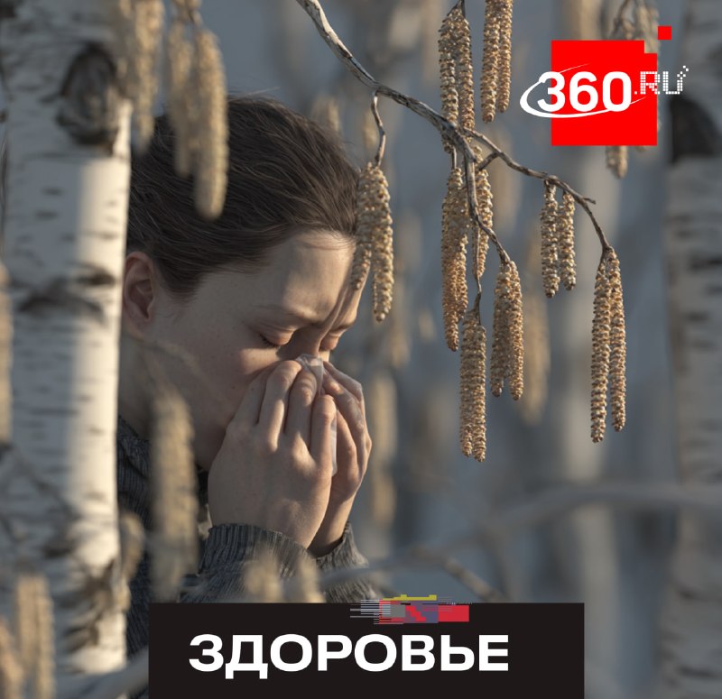 В центральной России начинается сезон цветения березы: советы аллерголога