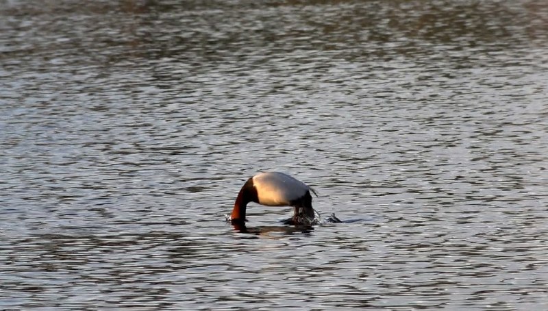 Иллюстрация 3