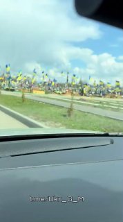 Украина 2026: рост числа потерь ВСУ и проблемы мобилизации