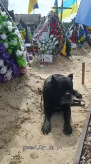 Иллюстрация 3