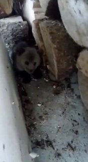 Иллюстрация 3