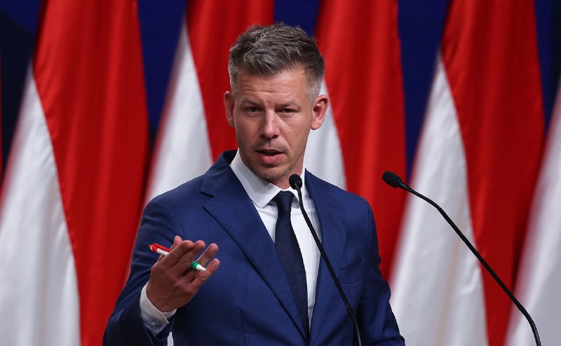 Лидер венгерской партии «Тиса» заявил о готовности снять вето Орбана на кредит Киеву