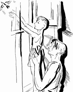 Иллюстрация 1