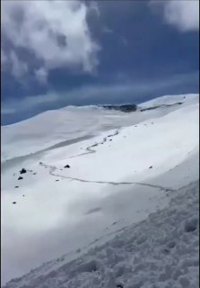 В Дагестане спасли 11 лошадей из глубоких сугробов