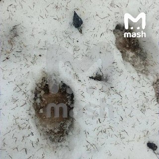 Иллюстрация 4