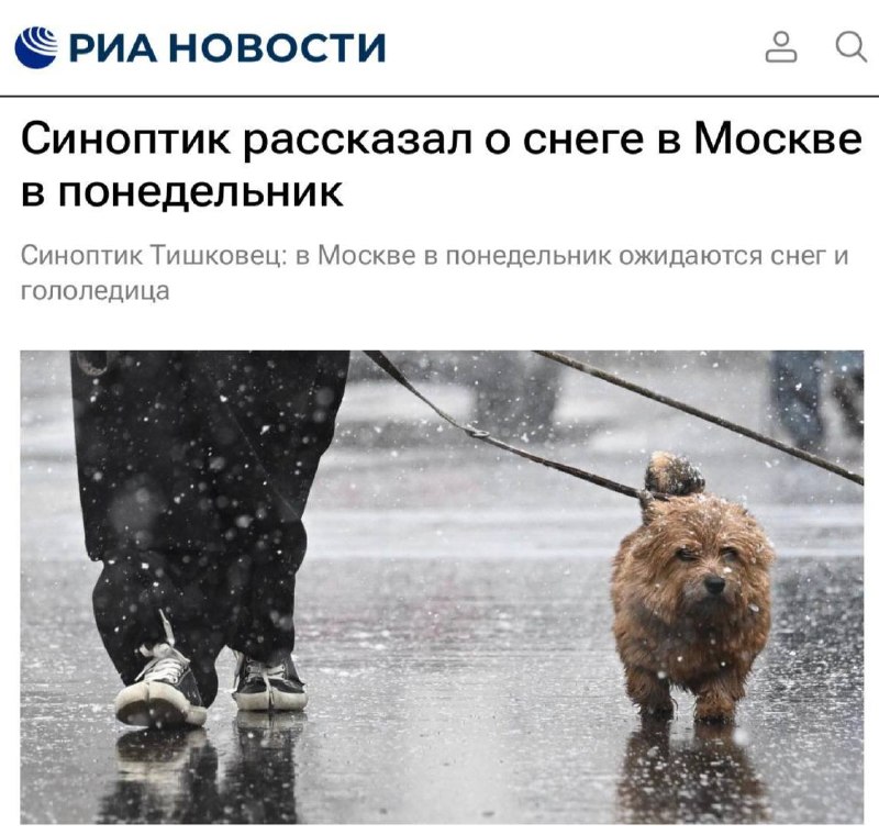 В Москве ожидается сильный снегопад и штормовой ветер