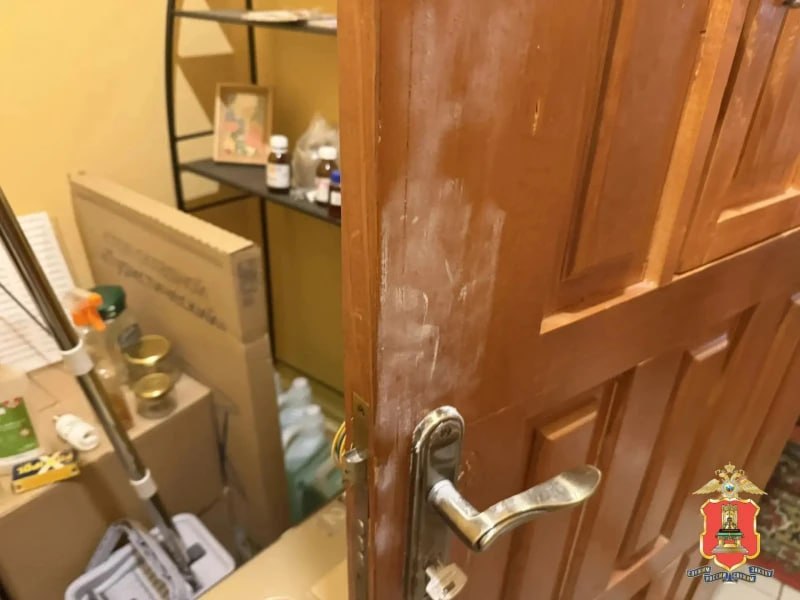 Иллюстрация 3