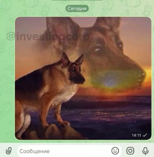 В мессенджере МАХ запретили отправку сообщений при включенном VPN