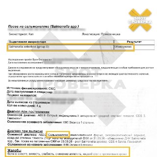 Иллюстрация 4