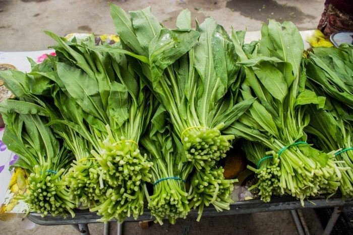 Во Львове спортивный врач умер после отравления чемерицей