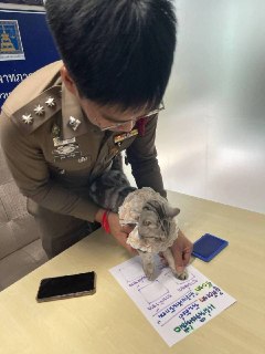 Иллюстрация 5