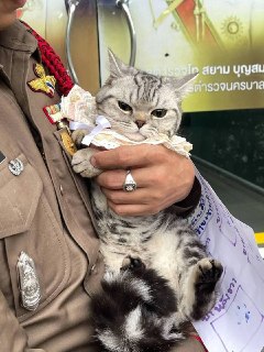 Иллюстрация 6