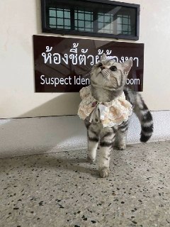 Иллюстрация 7