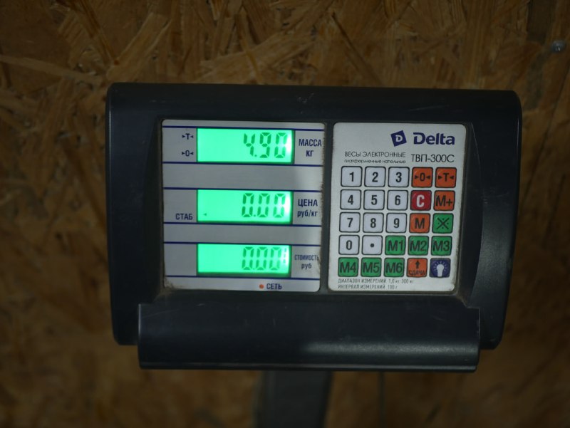 Иллюстрация 5