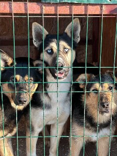 Иллюстрация 2