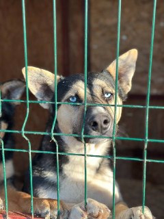 Иллюстрация 4