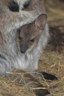 Иллюстрация 2