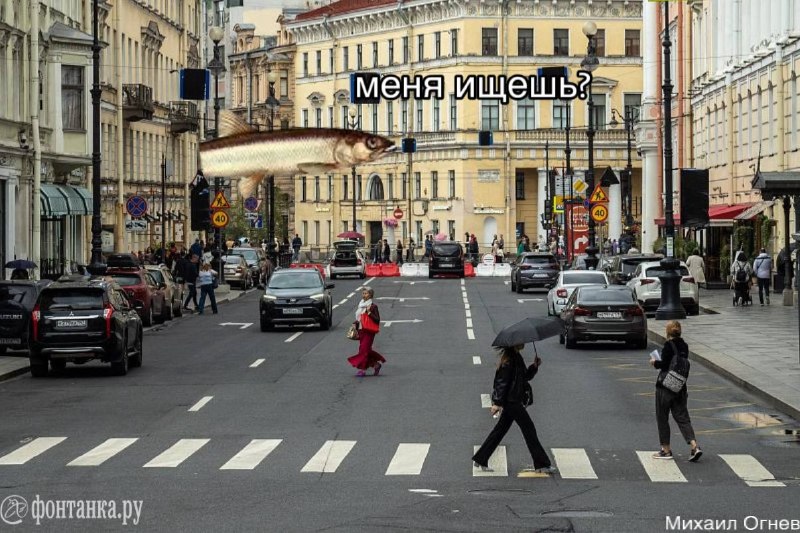 В Санкт-Петербурге стартовал сезон корюшки: где искать рыбу и почему она подорожала