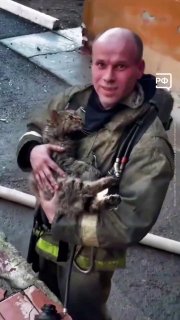 Сотрудник МЧС спас женщину и животных во время пожара в Тюмени