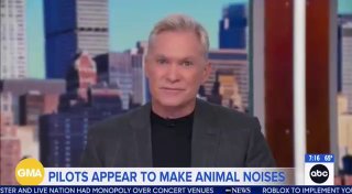 Американских пилотов отчитали за мяуканье и лай в радиоэфире