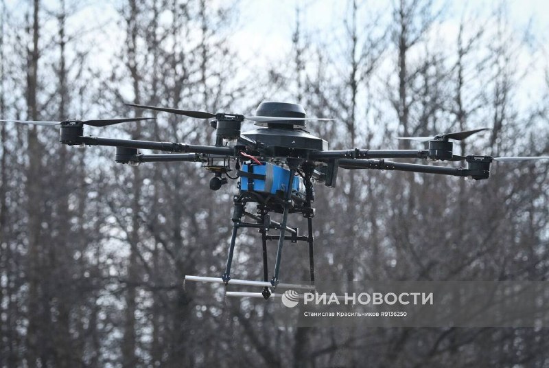 Иллюстрация 9