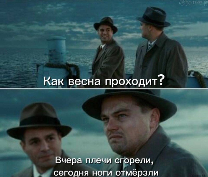 Курс на похолодание: в Петербурге будет мокро и до +14