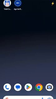 Дуров: приложение ЕС для проверки возраста взломали за 2 минуты