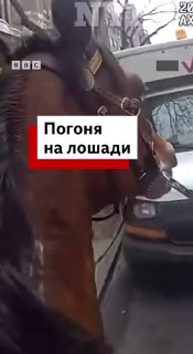 В Нью-Йорке полицейский на лошади догнал преступника