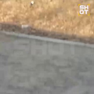 В школе в Чите эвакуировали детей из-за муляжа бомбы