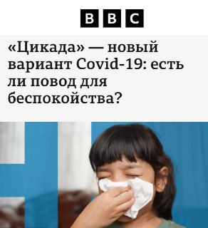 В мире обнаружен новый штамм COVID-19 под названием «Цикада»