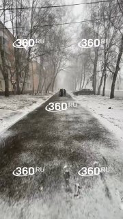 Иллюстрация 2