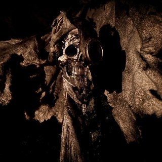 Иллюстрация 5