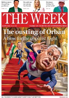 Иллюстрация 1