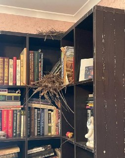 Иллюстрация 3