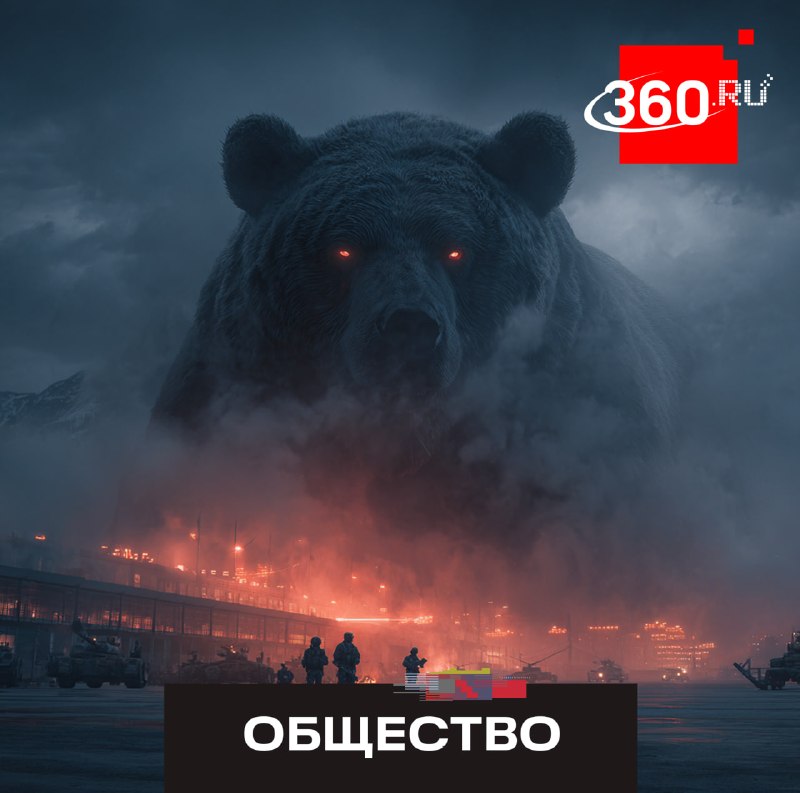 На базе в Анкоридже бурый медведь напал на американских военных