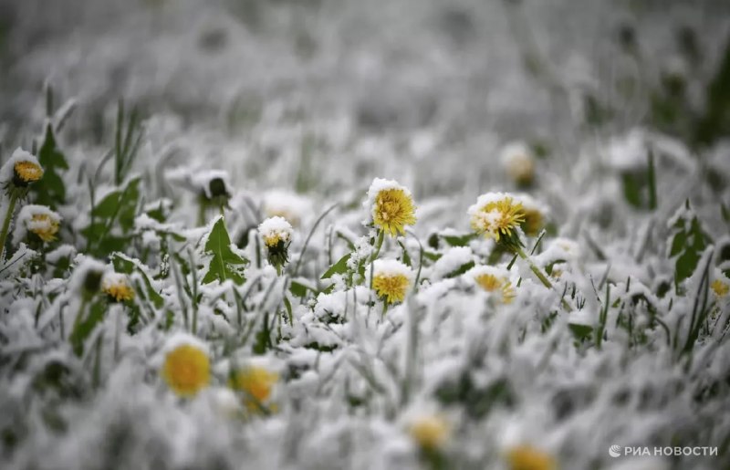 В Московской области вернулись заморозки