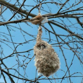 Иллюстрация 2