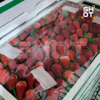 Иллюстрация 3