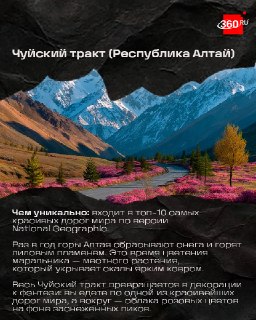 Иллюстрация 3