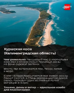 Иллюстрация 6