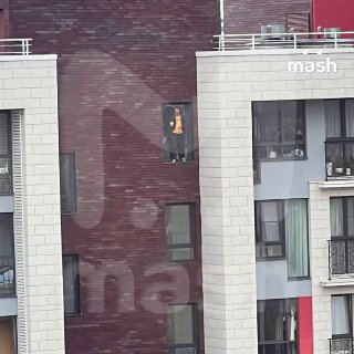 В Москве мужчина устроил пожар в ПВЗ и покончил с собой