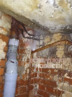 Иллюстрация 5