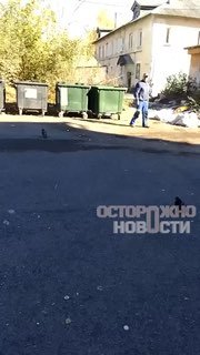 Иллюстрация 1