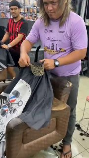 На Филиппинах парикмахерская бесплатно стрижет бездомных котов