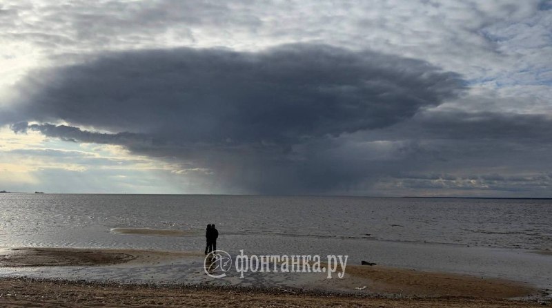 Иллюстрация 2